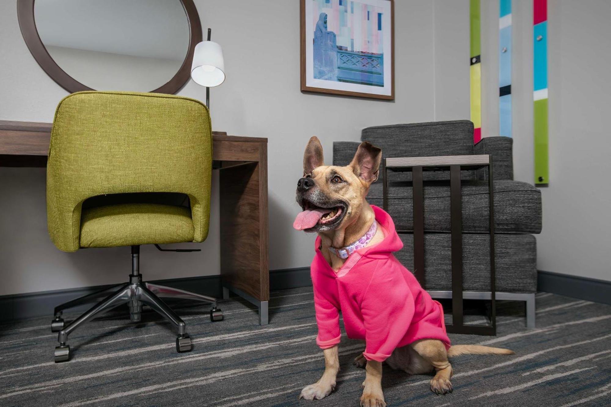Hampton Inn Yorkville Bagian luar foto